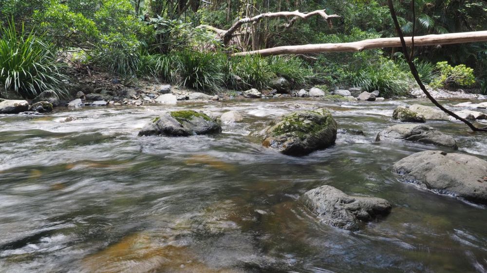 Fallen log over fast-flowing creek