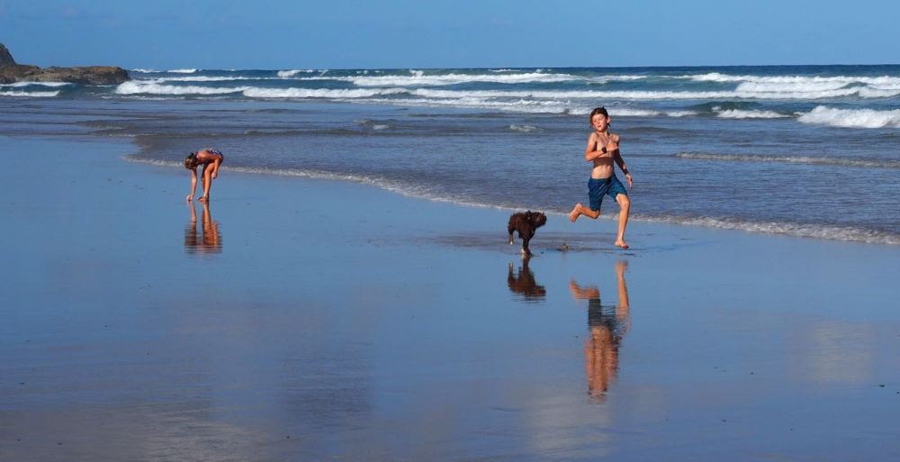 Children and dog on emerald beach