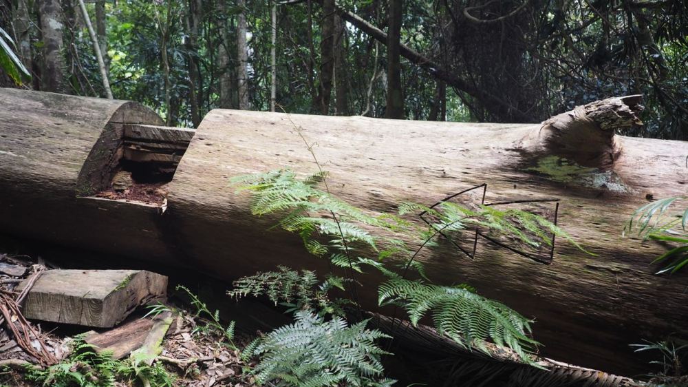 Stile over fallen log