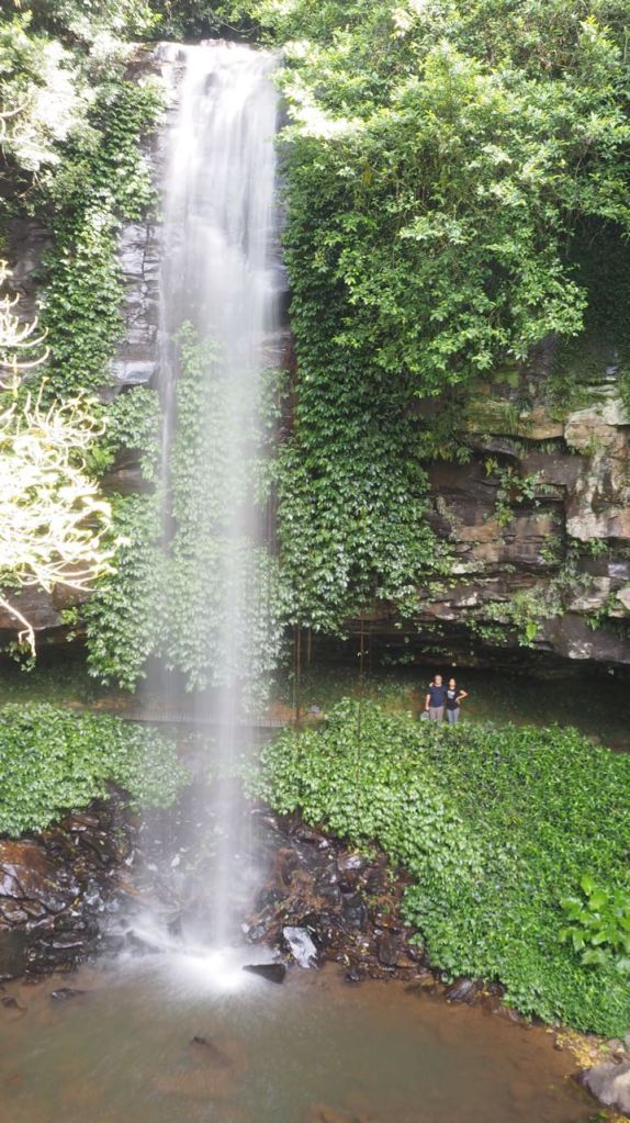 Crystal Falls, Dorrigo National Park