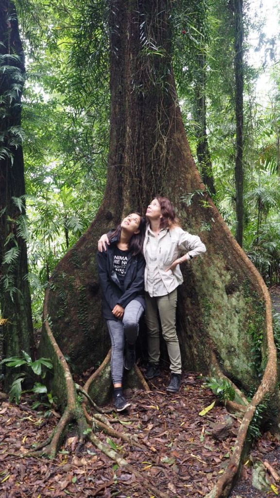 Susie and Ruby standing in the roots of fig tree