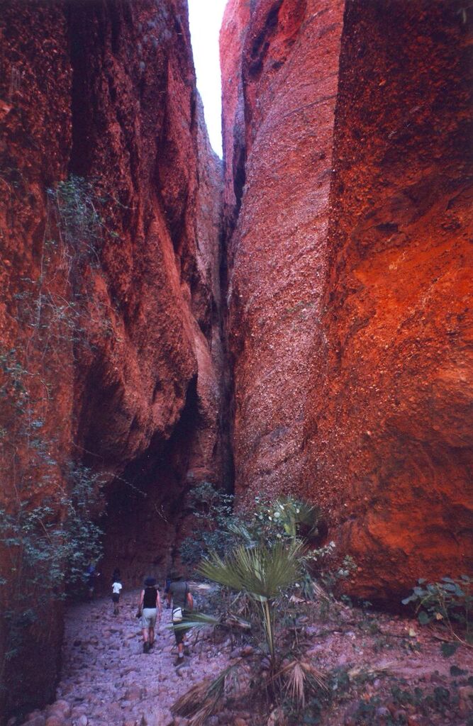 Hiking, Purnululu NP