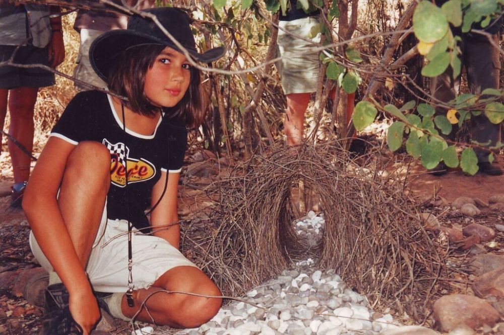 Ruby finds a superb bower