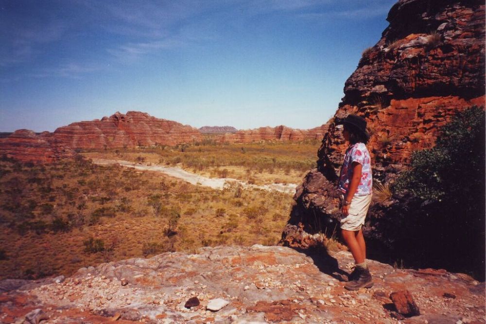 Ruby gazing into the Tanami desert