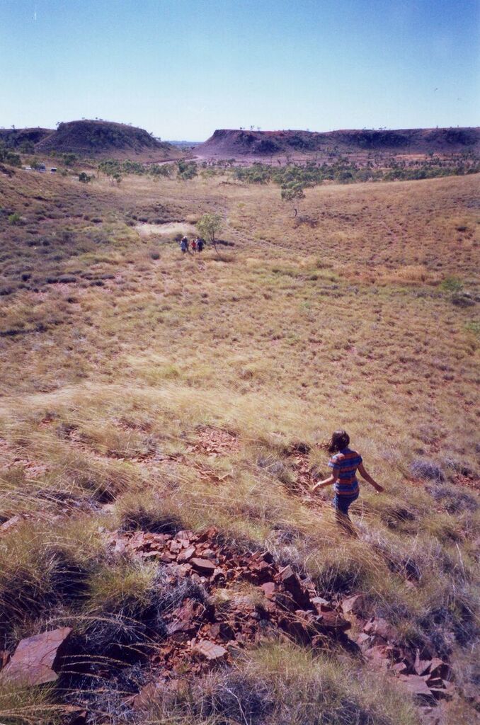 Ruby on the outskirts of Tennant Ck
