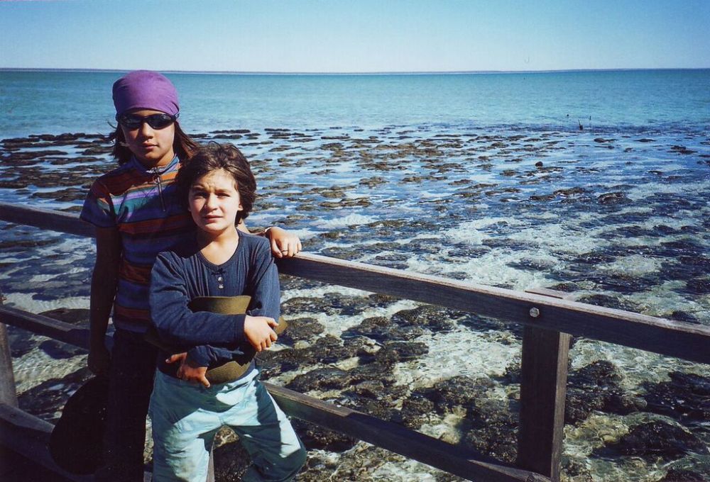 r-c-and-stromatolites_blog