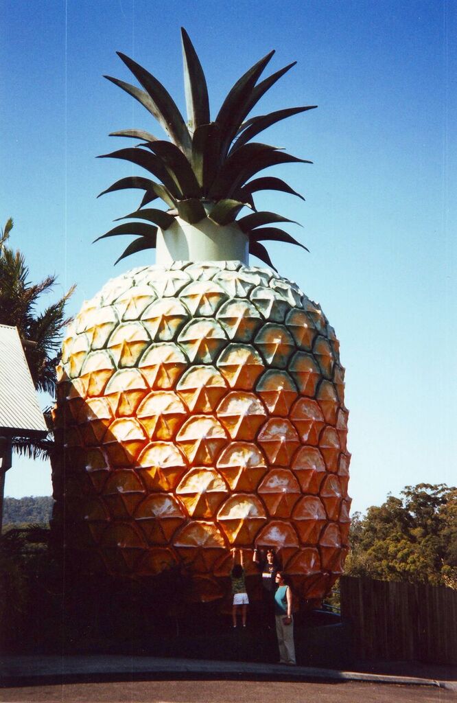 The Big Pineapple