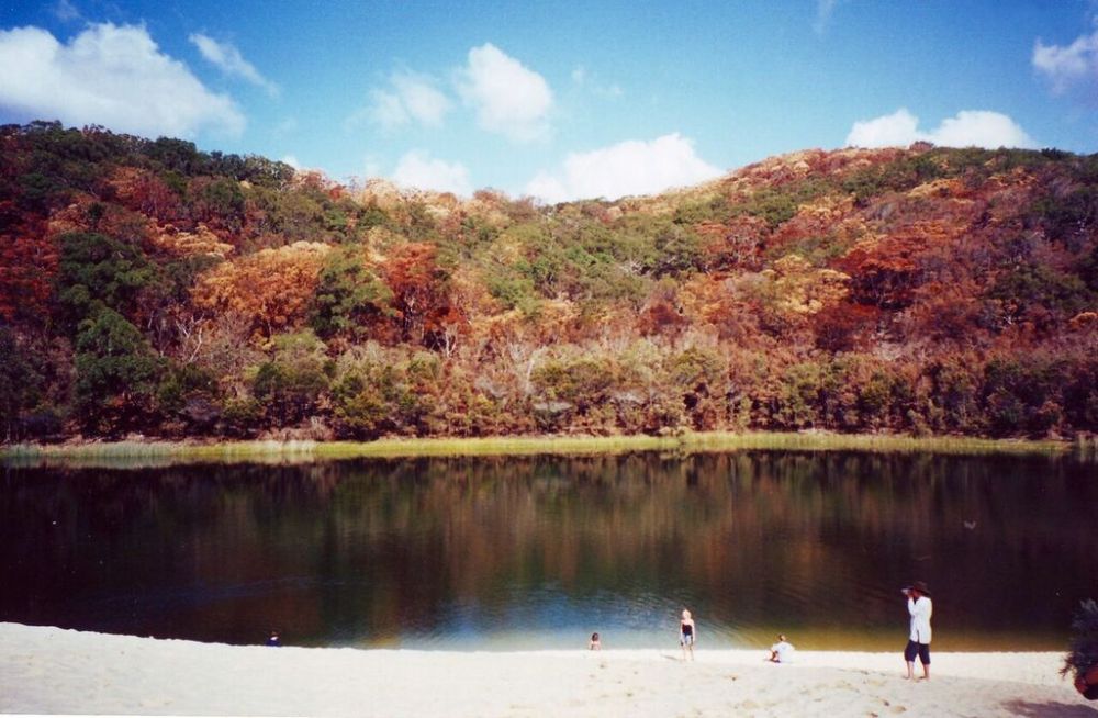 Lake Wabby, Fraser Island, Queensland