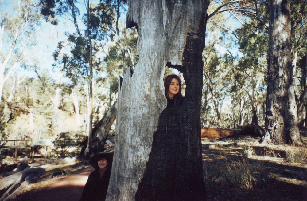 ruby-burnt-tree_blog